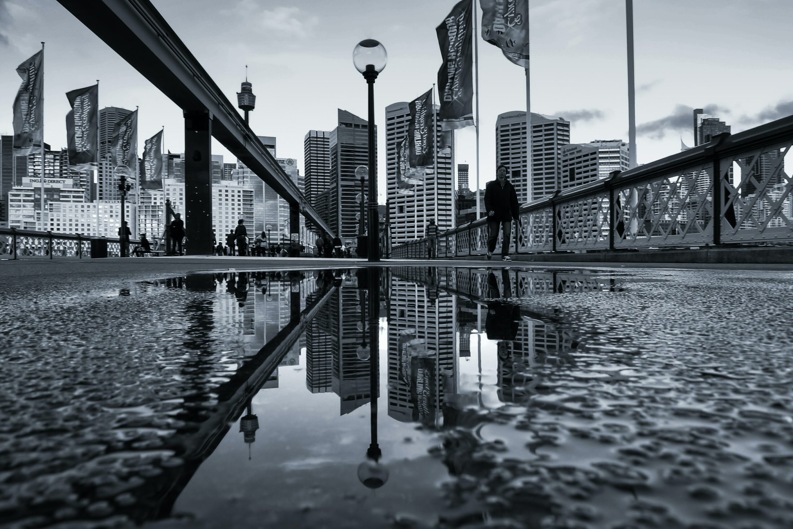 photoholgic-35FGlbO_krI-unsplash